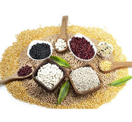 農(nóng)副產(chǎn)品烘干機